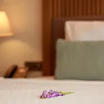 酒店 Casa Lumar Luxury Lodging- Adult Only *